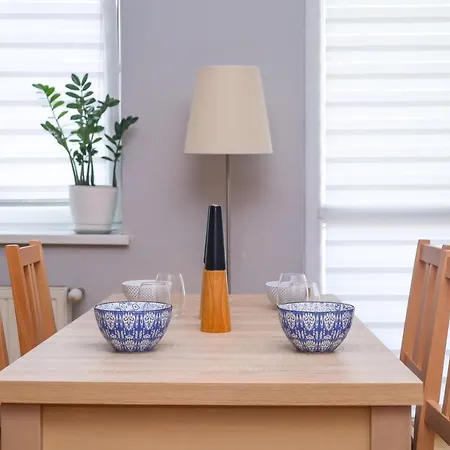 公寓 Modern And Very Bright Apartment In Cracov